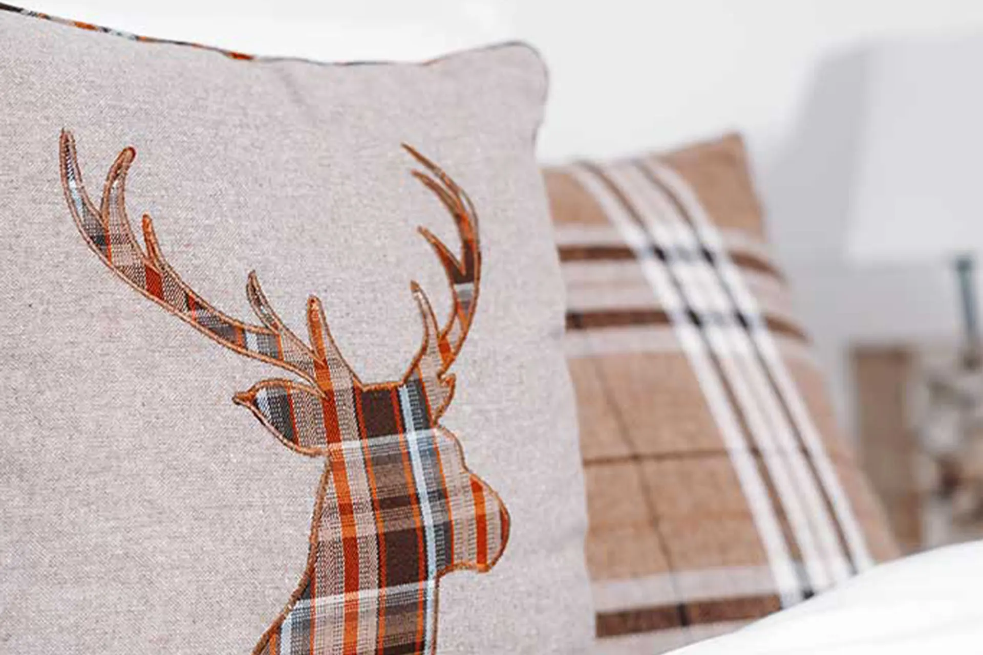 Umgebung & Feldberg — Foto 14